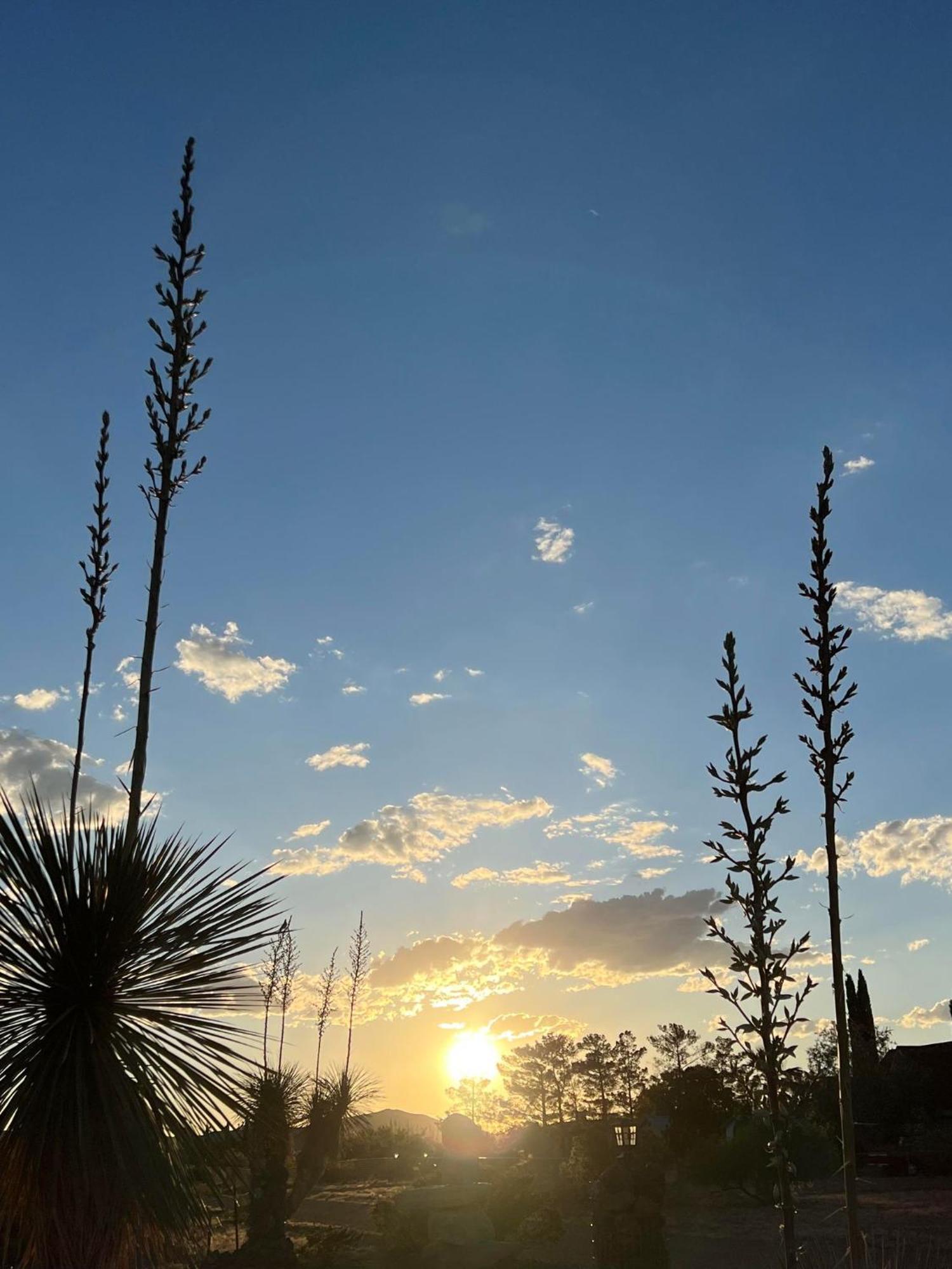 Hole In The Wall Getaway - Usa Mexico Border Bed And Breakfast Columbus المظهر الخارجي الصورة