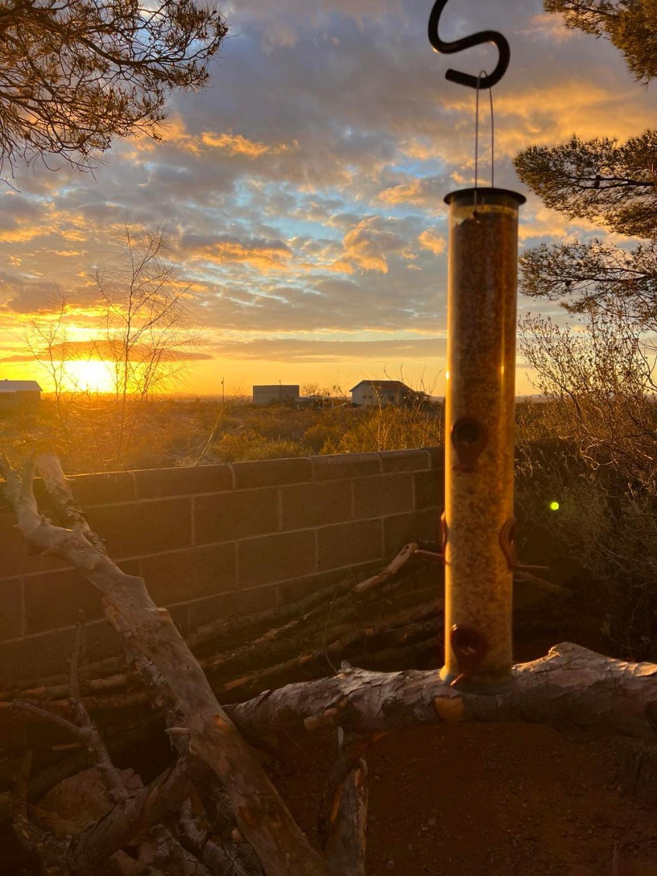 Hole In The Wall Getaway - Usa Mexico Border Bed And Breakfast Columbus المظهر الخارجي الصورة