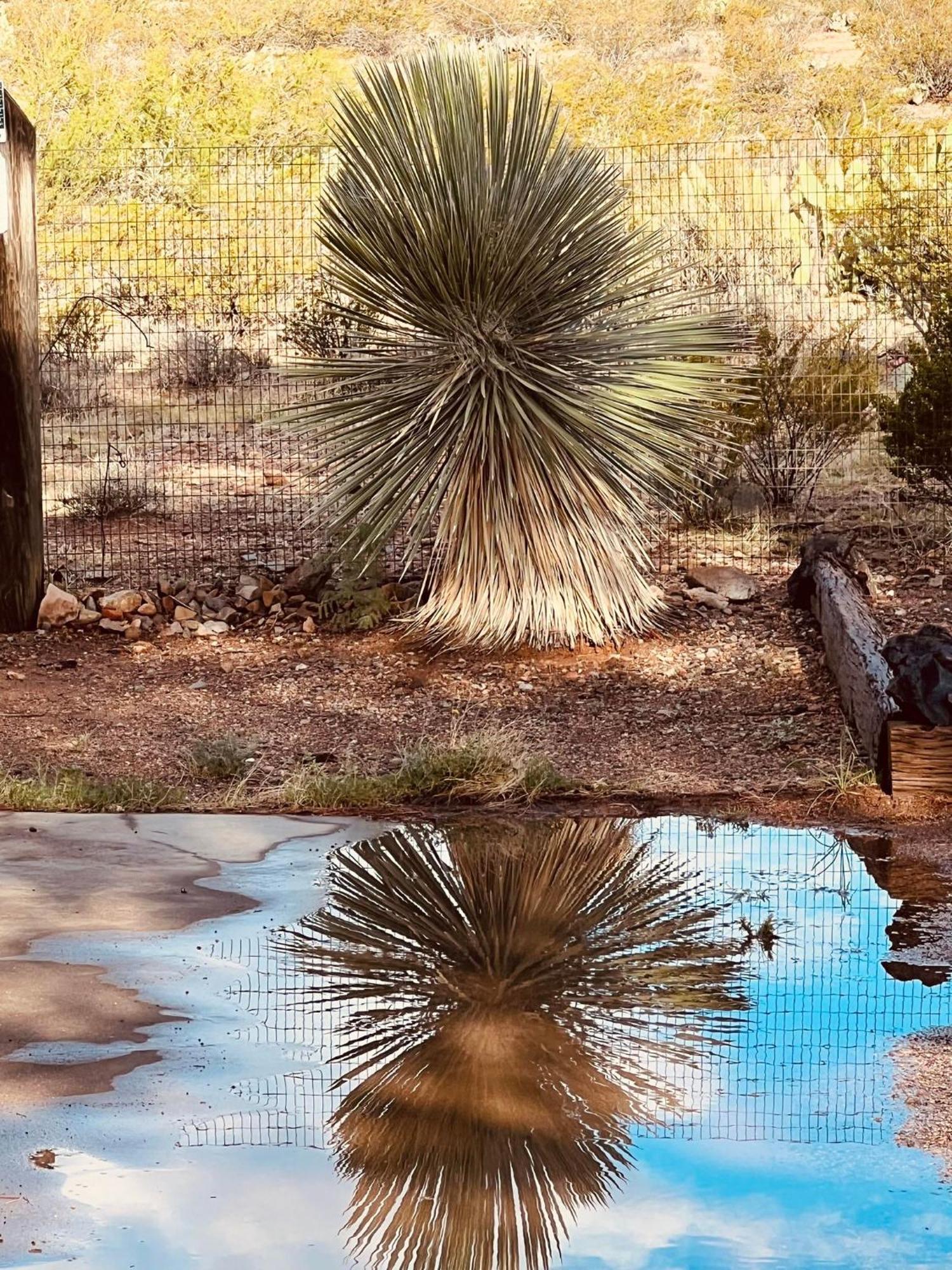 Hole In The Wall Getaway - Usa Mexico Border Bed And Breakfast Columbus المظهر الخارجي الصورة